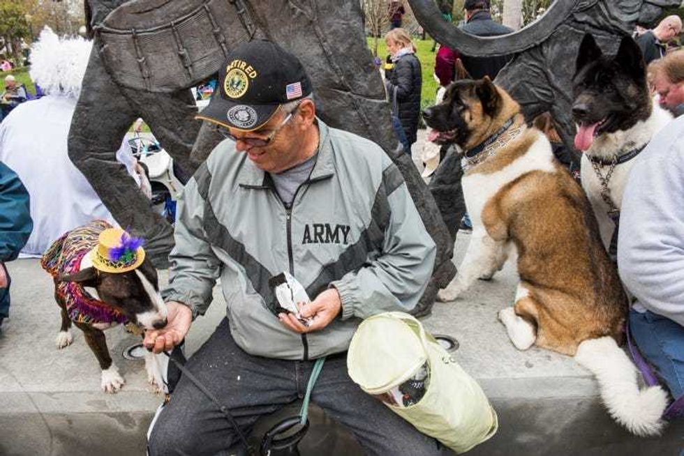 Barkus