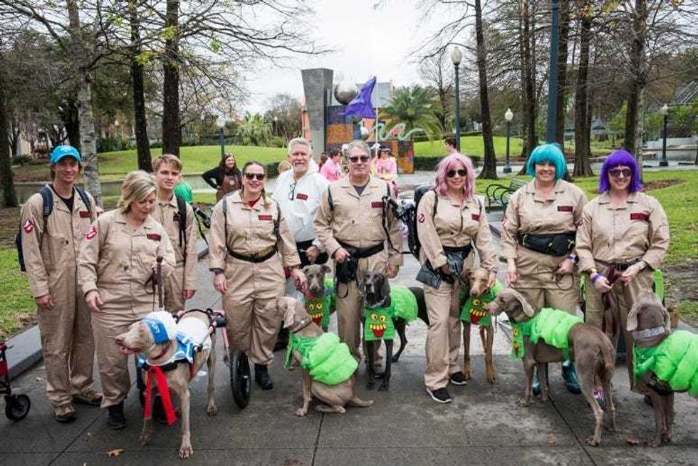 barkus