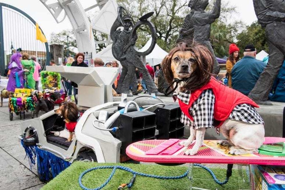 barkus