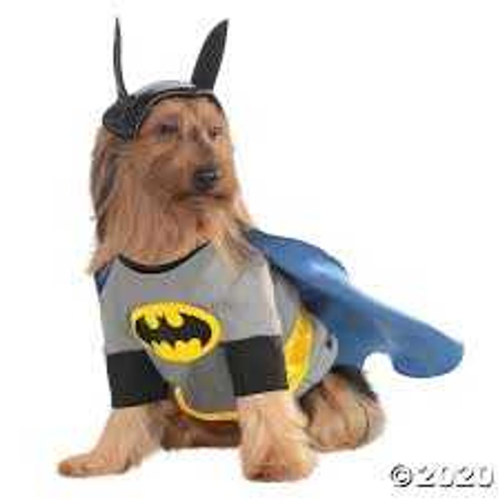Batman dog costume