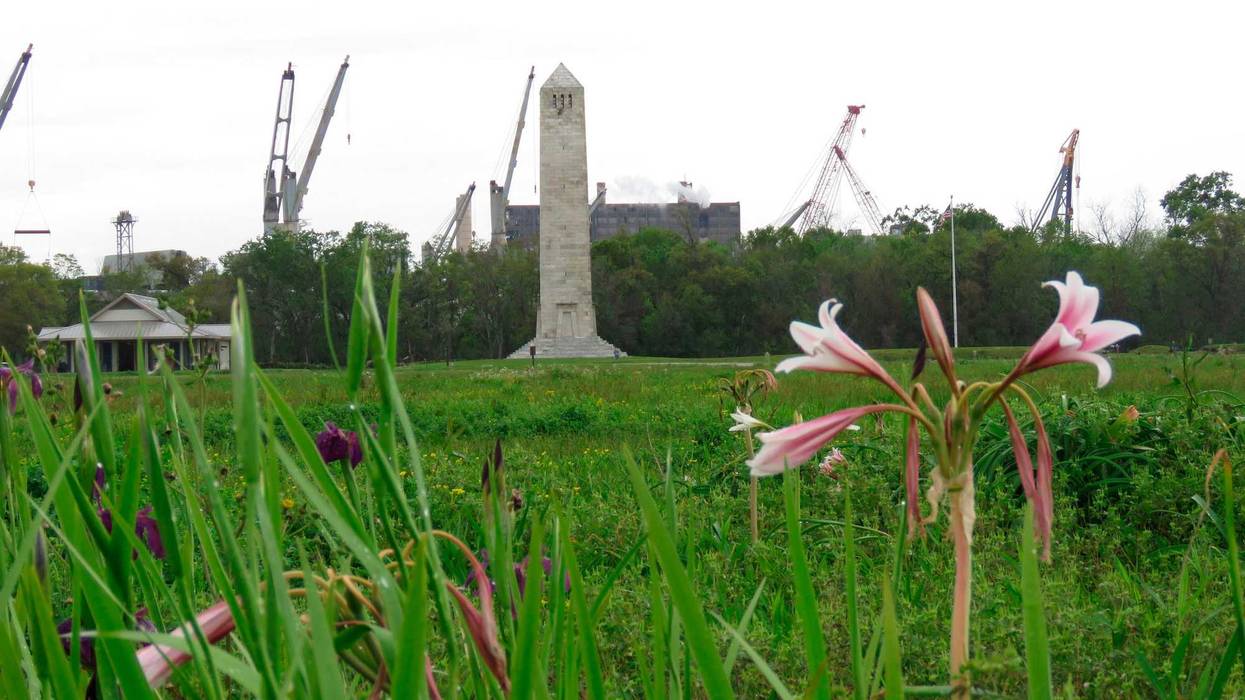 Battlefield Iris Razed Black Homes