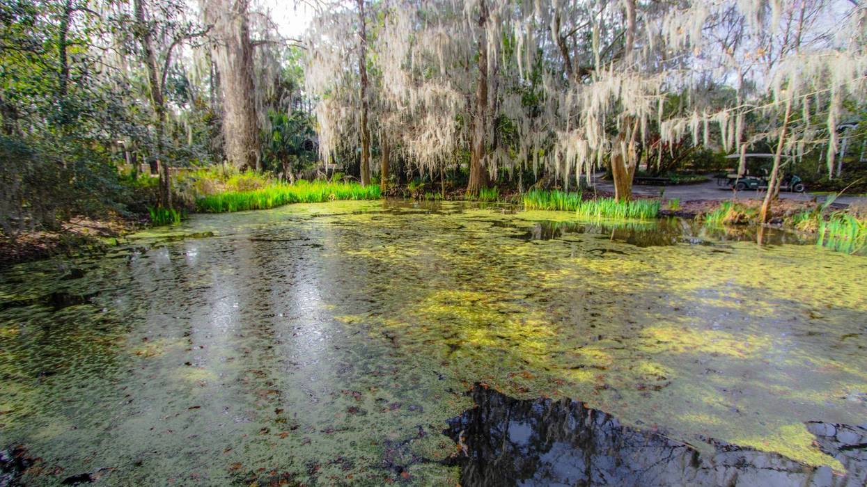 Bayou Sauvage refuge grows by 2,500 acres