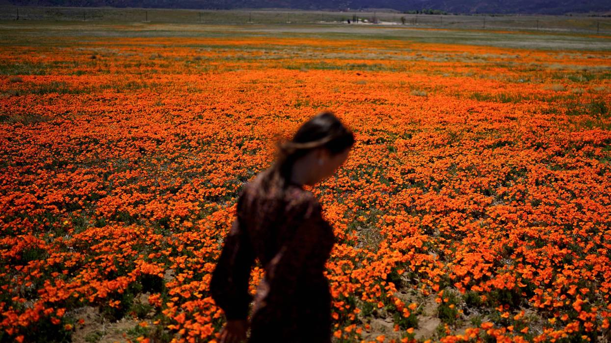 Be Well Allergy Tips