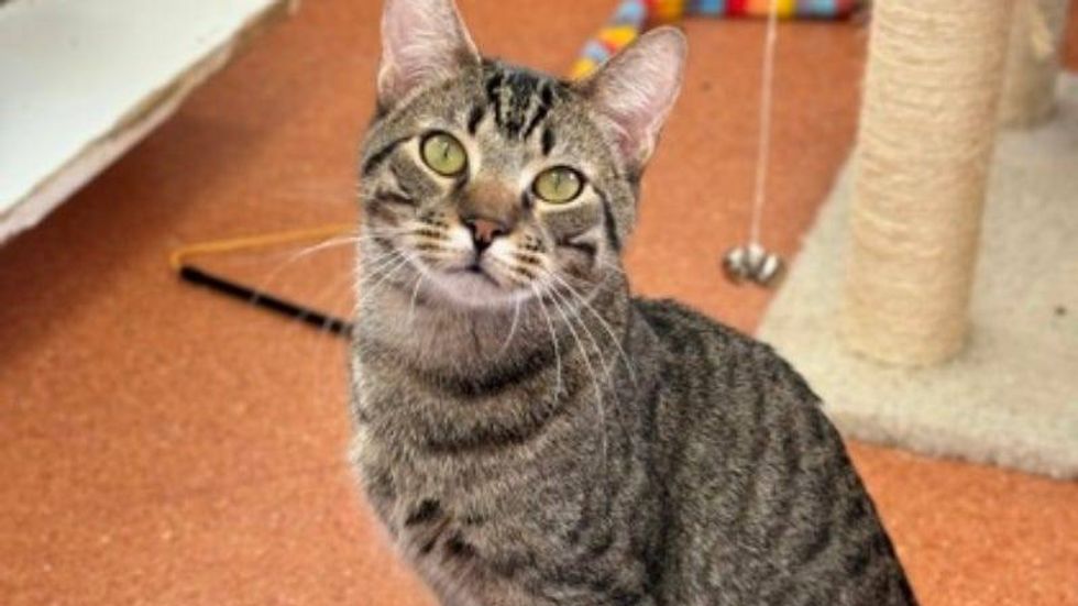 Beans @ Austin Humane Society 11/15/23