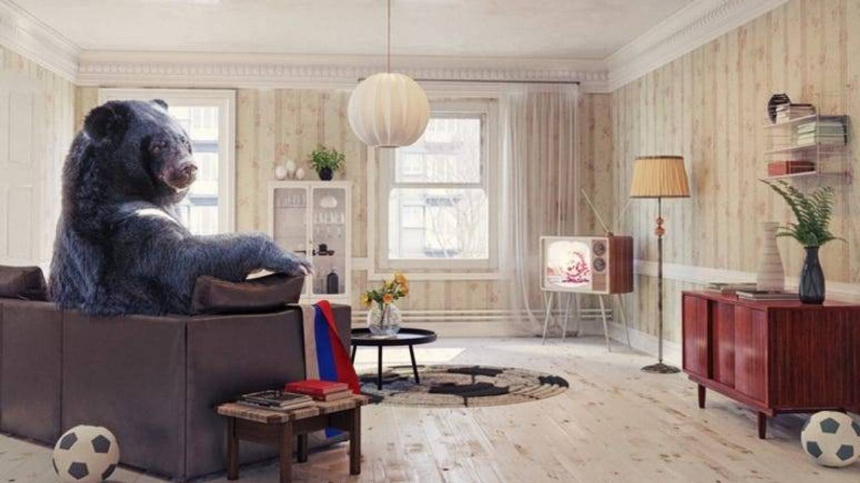 Bear sitting on sofa