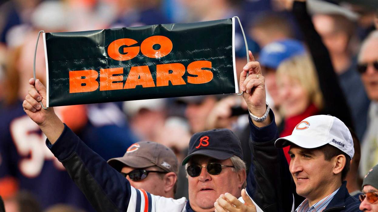 Bears fans