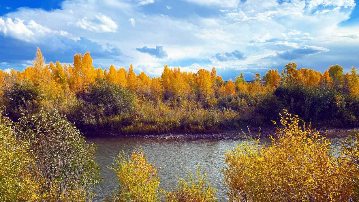 Beautiful views in and around Bear River State Park in Evanston Wyoming.