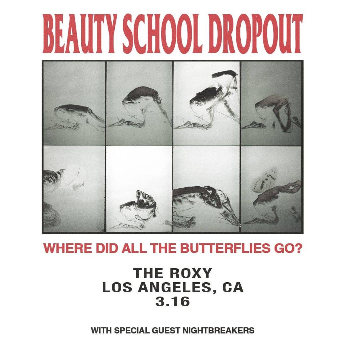 Beauty School Dropout