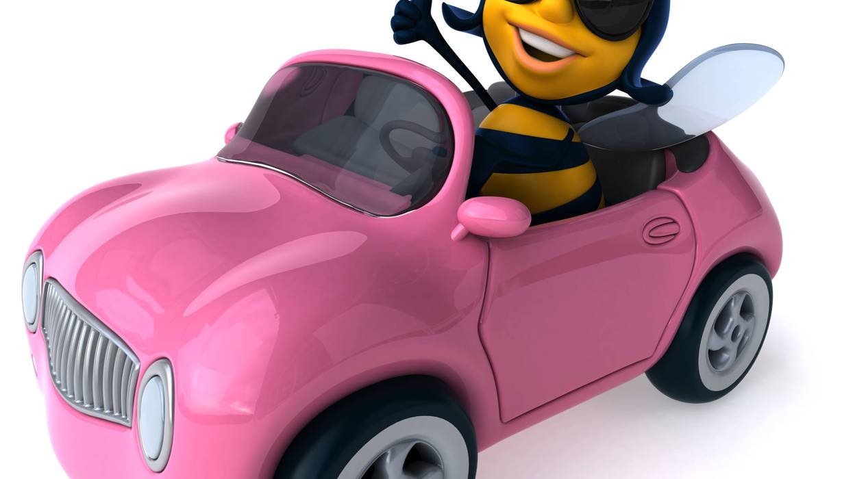 bee
