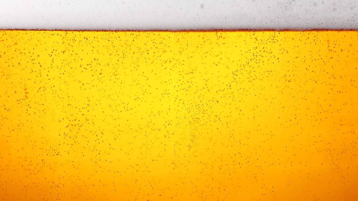 beer