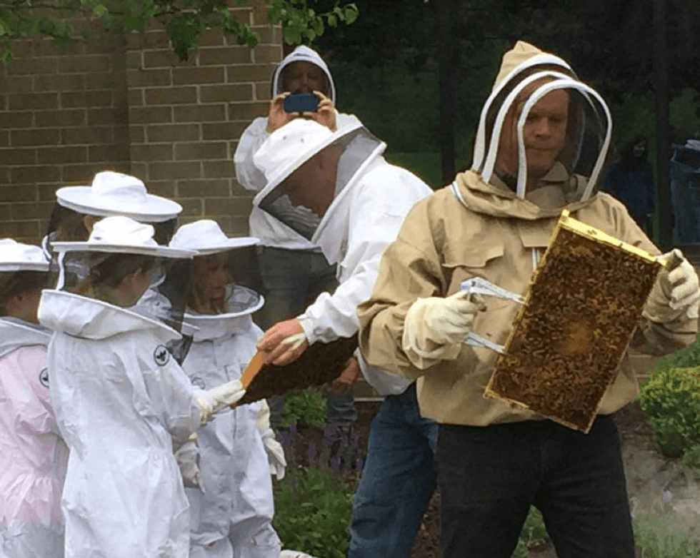 Bees in the D teaches a workshop with students