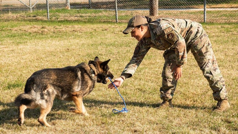 Behind the ‘Dream Team,’ Air Force handler and K9 share unbreakable bond
