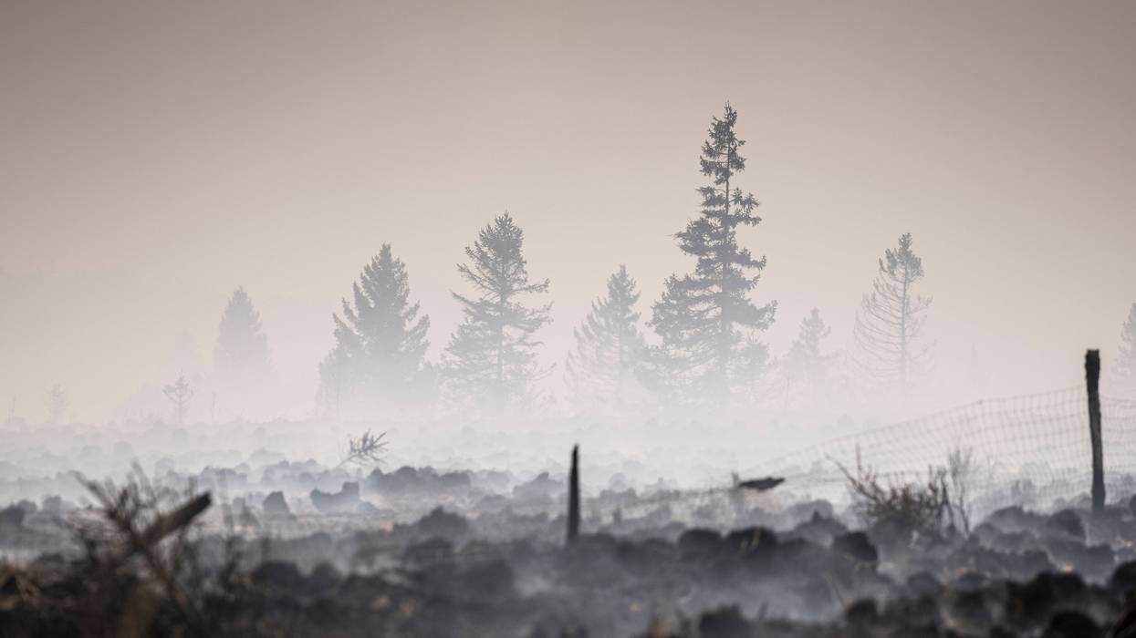 Belgium Wildfire