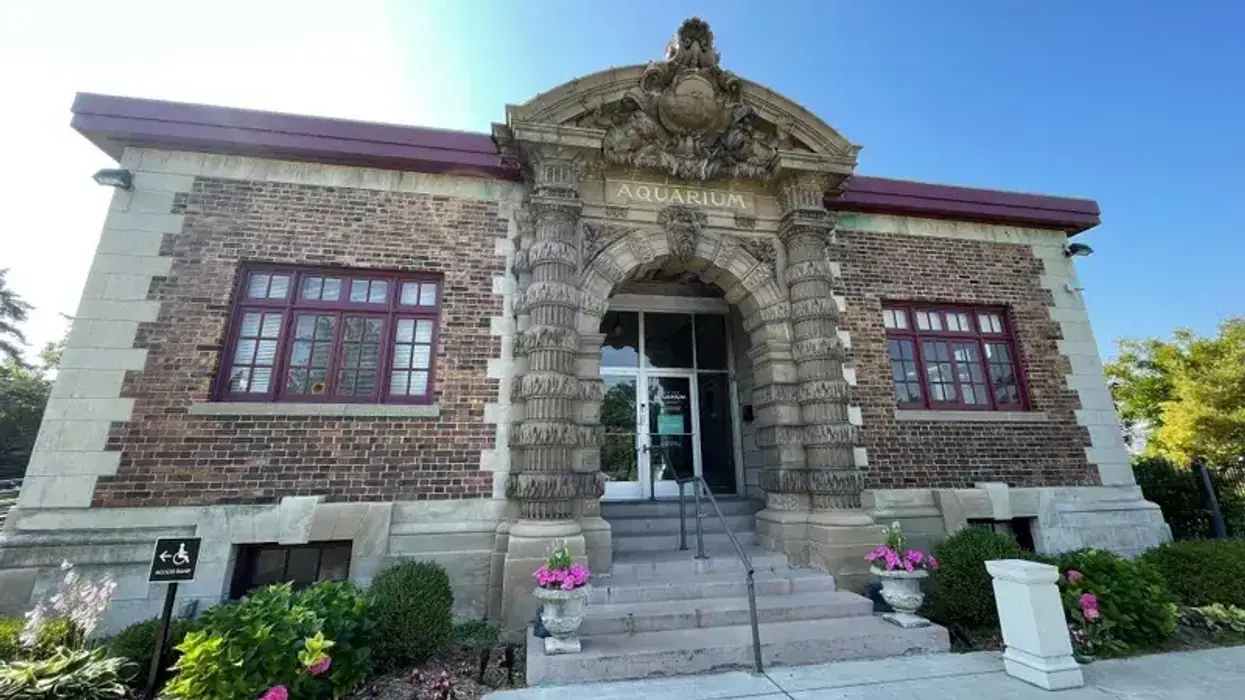 Belle Isle Aquarium