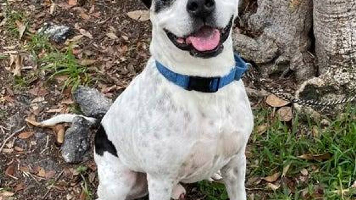 benny