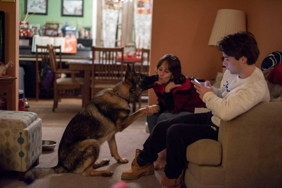 Bernie Wilkinson of Abington is a German shepherd owner. She shakes hands with her dog Thor.