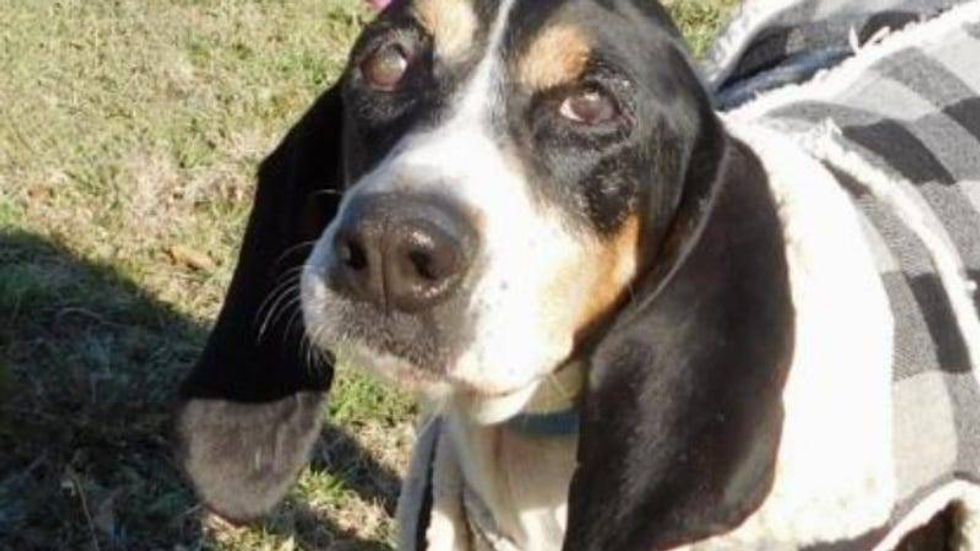 Bessie Austin Humane Society 2/16/22