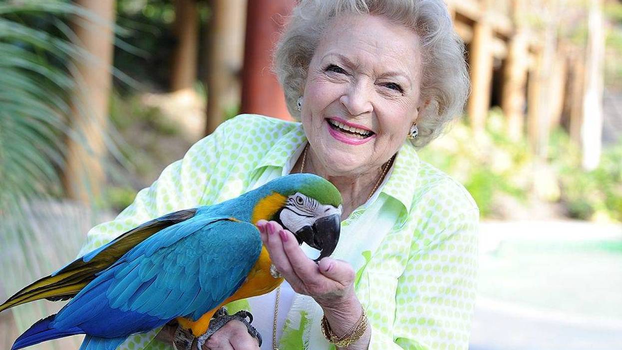 Betty White attends the Greater Los Angeles Zoo Association's (GLAZA) 44th Annual Beastly Ball at Los Angeles Zoo on June 14, 2014 in Los Angeles, California