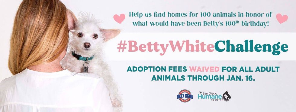 Betty White Challenge