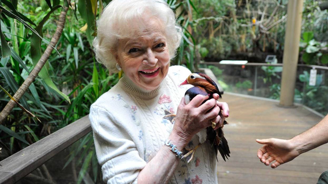 Betty White holding a male Mandarin duck at the Central Park Zoo for a video/story about her book.