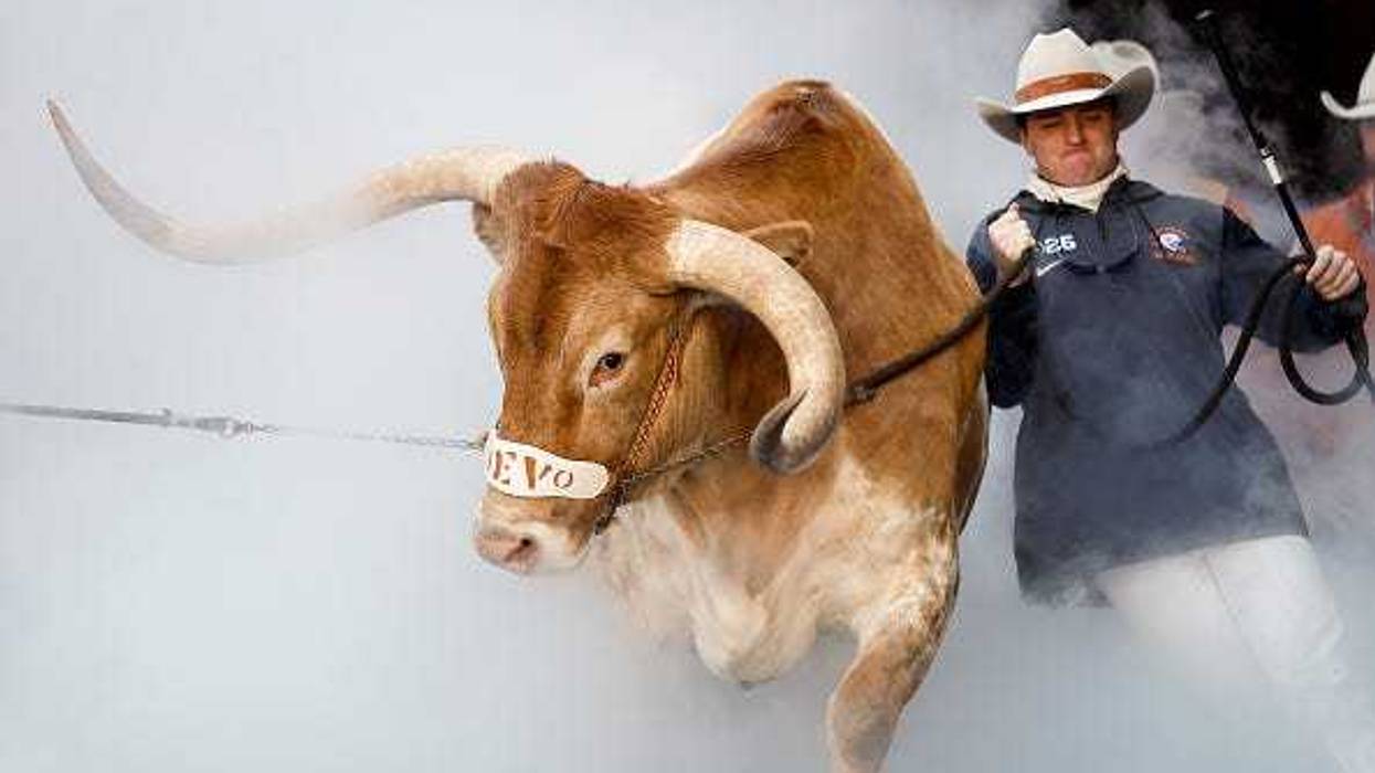 Bevo