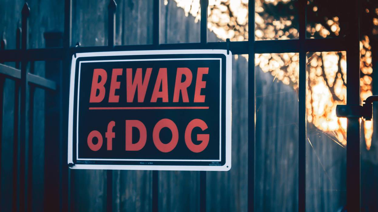 Beware of Dog