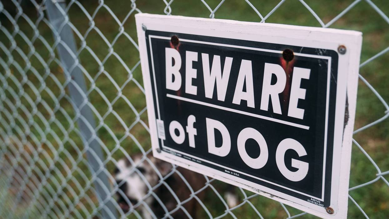 Beware of Dog