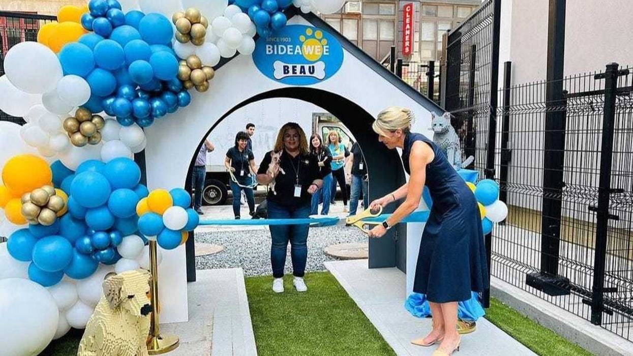 Bideawee CEO Leslie Granger cuts ribbon on new Chelsea shelter