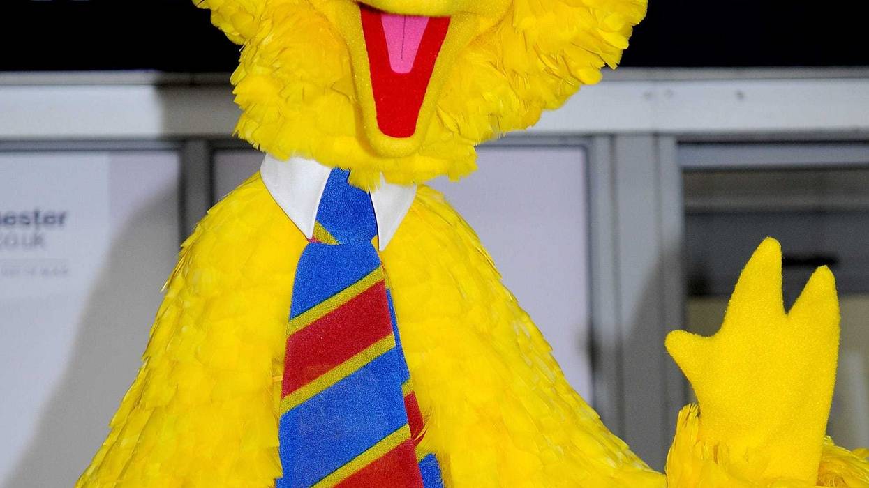 Big Bird arrives at Manchester airport on his way to visit his friend Elmo at CBeebies The Furchester Hotel at Manchester Airport on June 28, 2016 in Manchester, England.