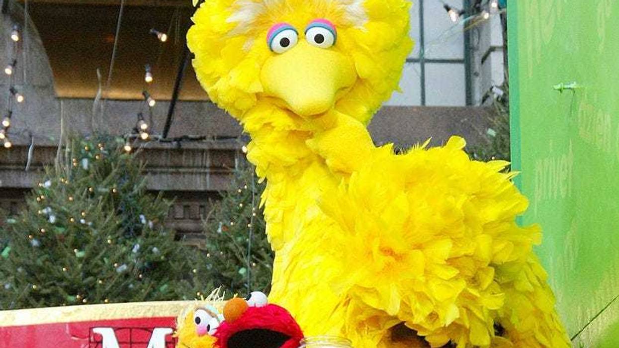 Big Bird
