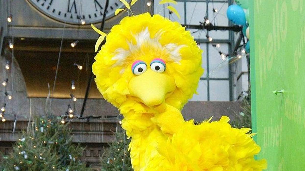 big bird
