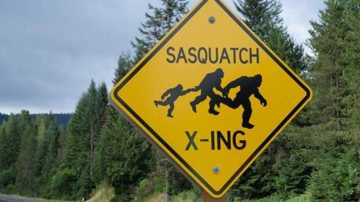 Bigfoot