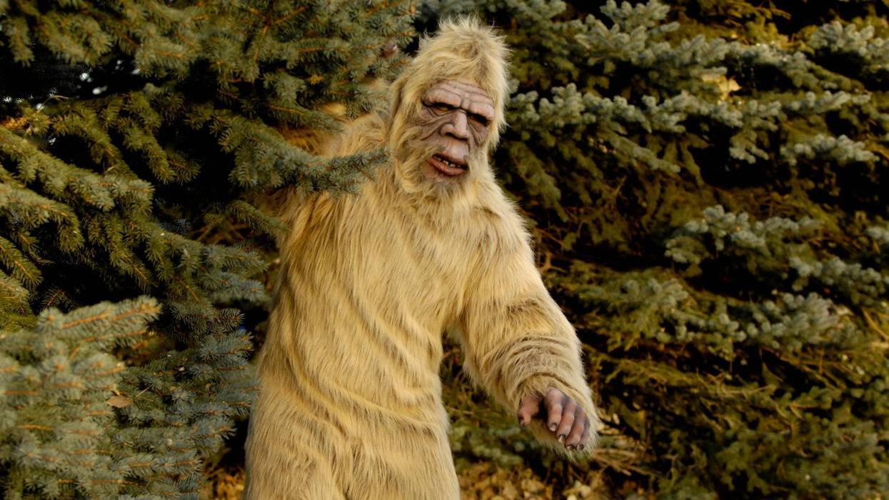 Bigfoot