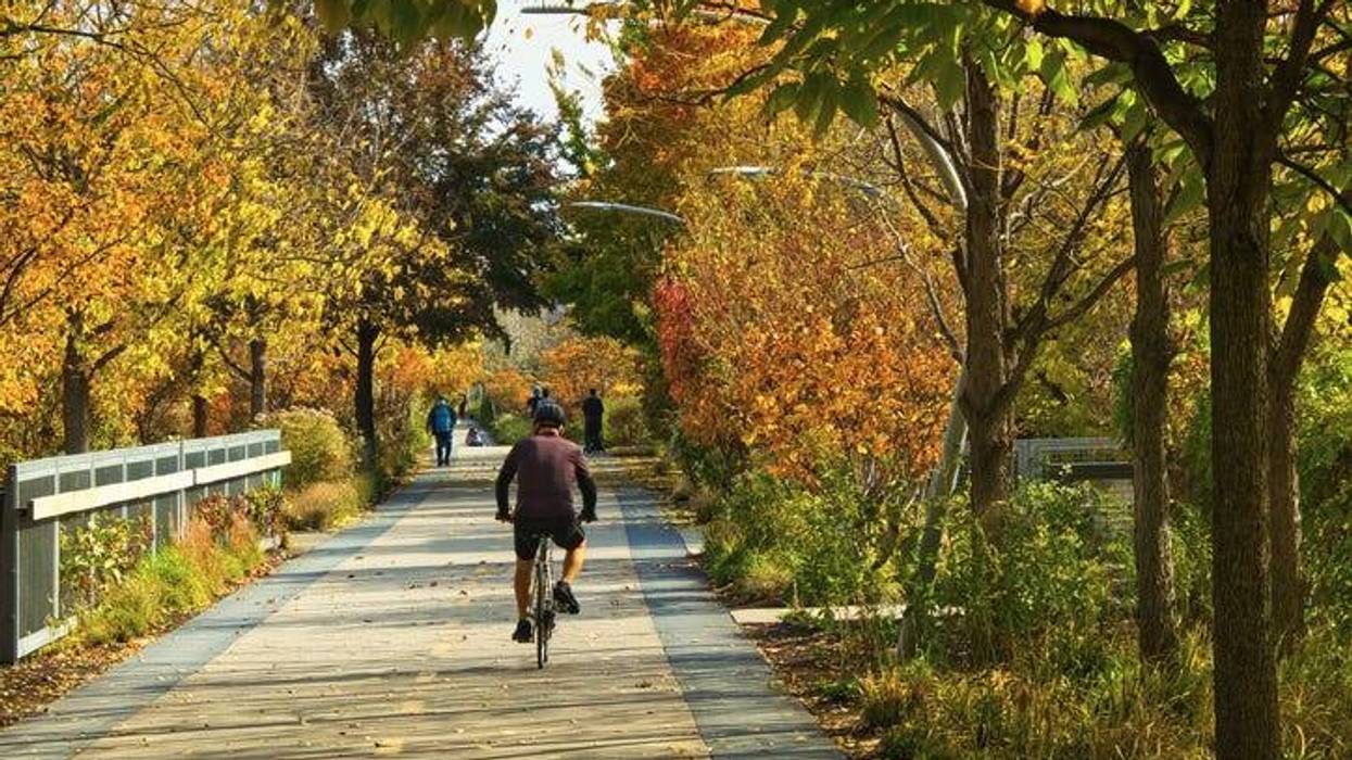 Bike Trails in Autumn