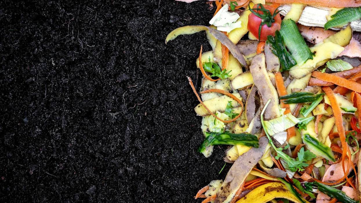 biodegradable kitchen waste on soil. composting organic food leftovers. copy space
