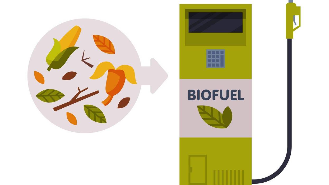 biofuels