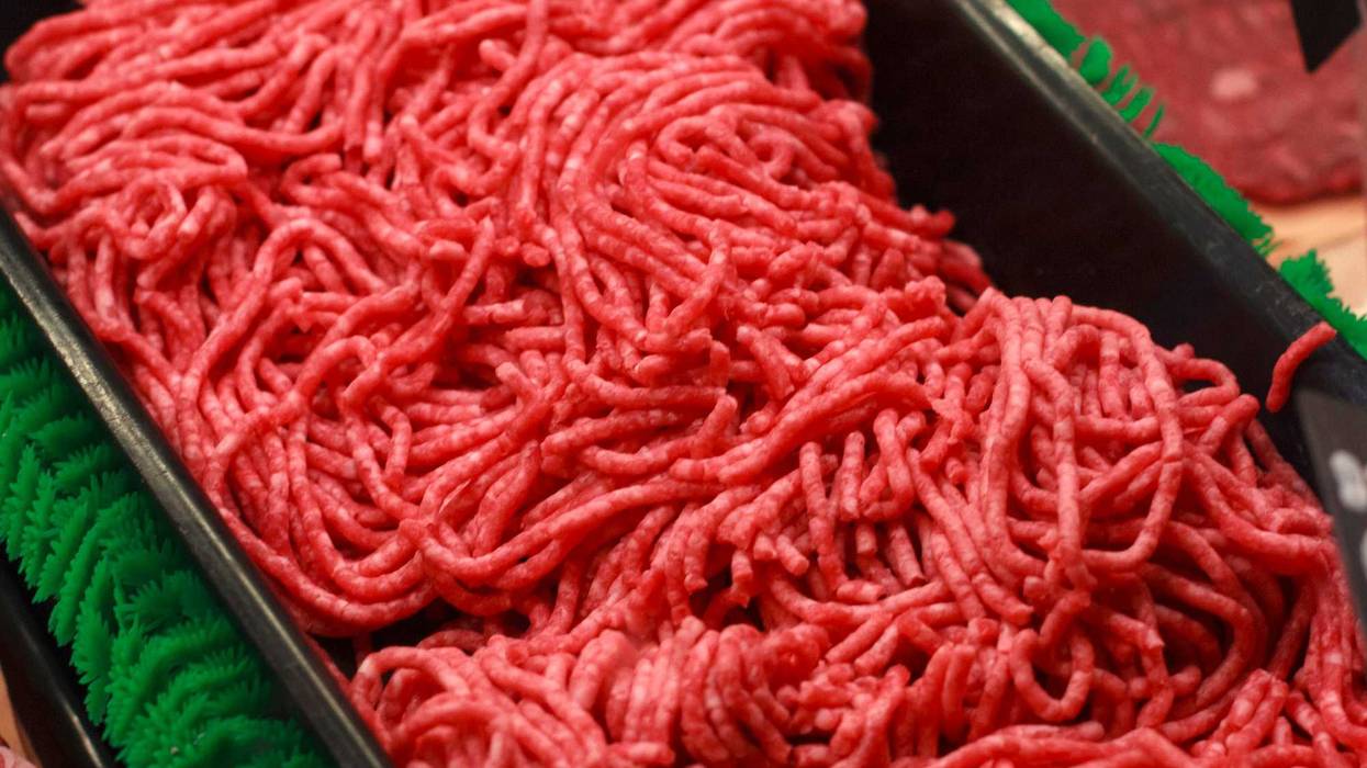 Bird Flu Ground Beef Testing