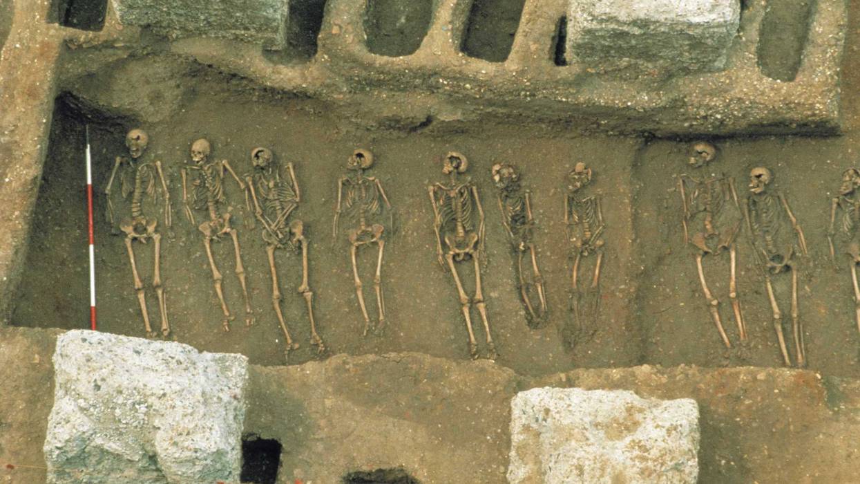 Black Death-Genetic Legacy