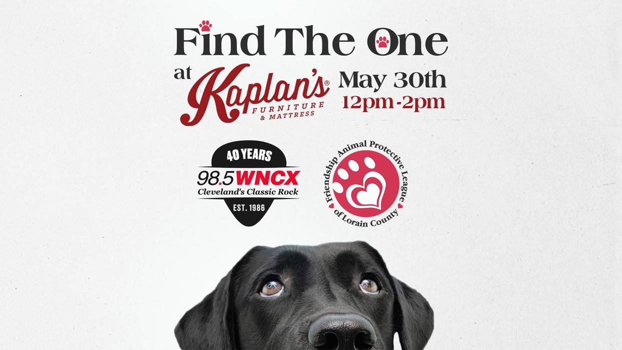 Black dog advertises animal adoption event at Kaplan's, May 30th, 12pm-2pm.