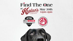 WNX Find The One Adoption Event at Kaplans Furniture