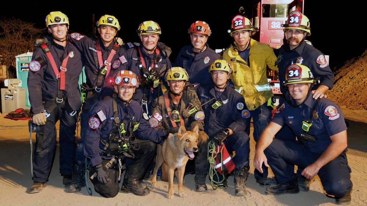 Blind dog rescued from hole at California construction site