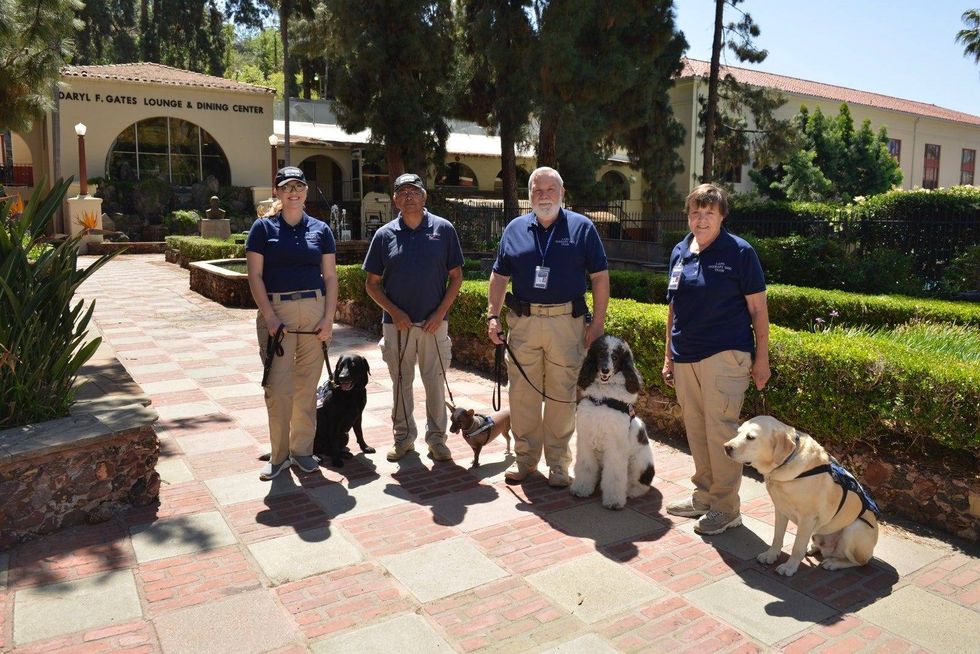 Blue Line Dogs