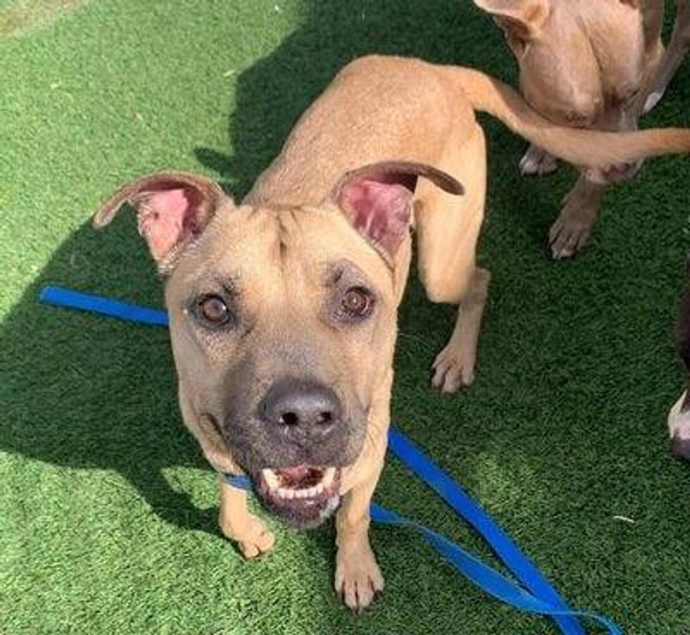 Bobby #A1087965