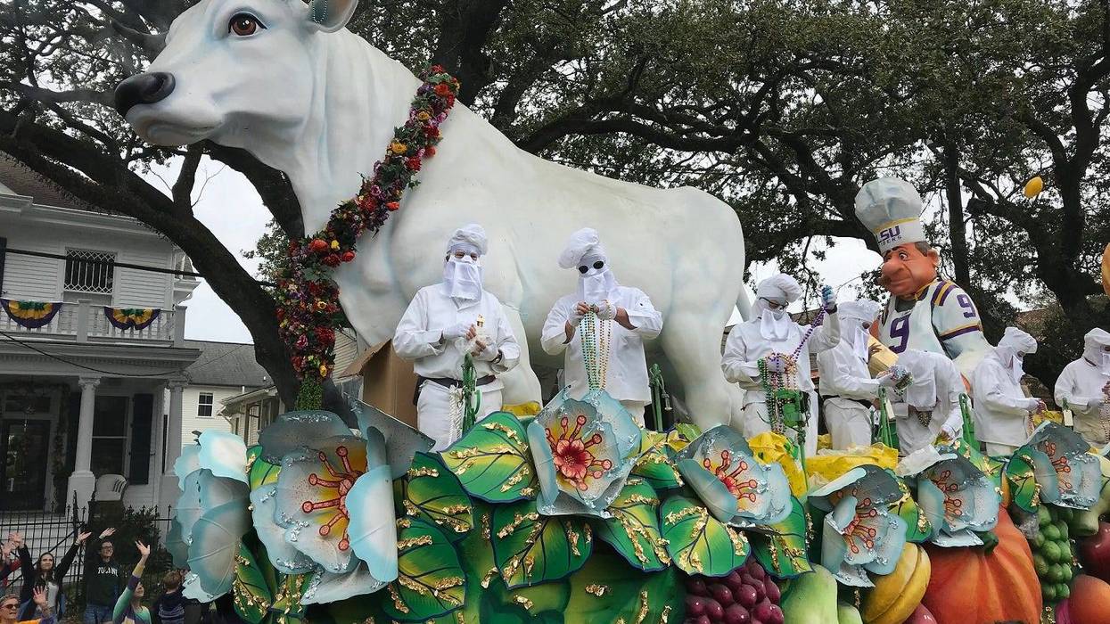 Boeuf Gras