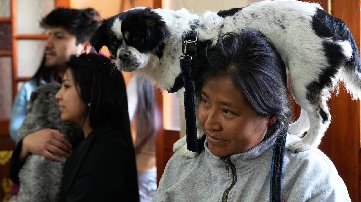 BOLIVIA-DÍA DE LOS PERROS 7216