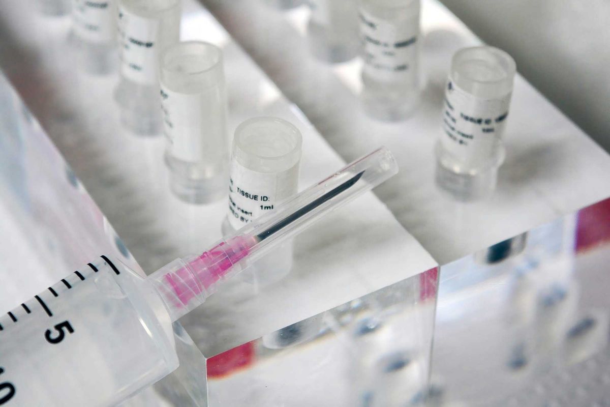 Bone Marrow, Be The Match, Transplant, Non-Profit