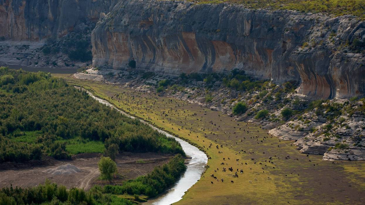 Border Wall Landowners
