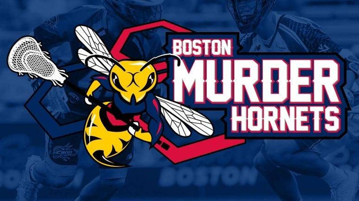 Boston_MurderHornets_775x515.jpg