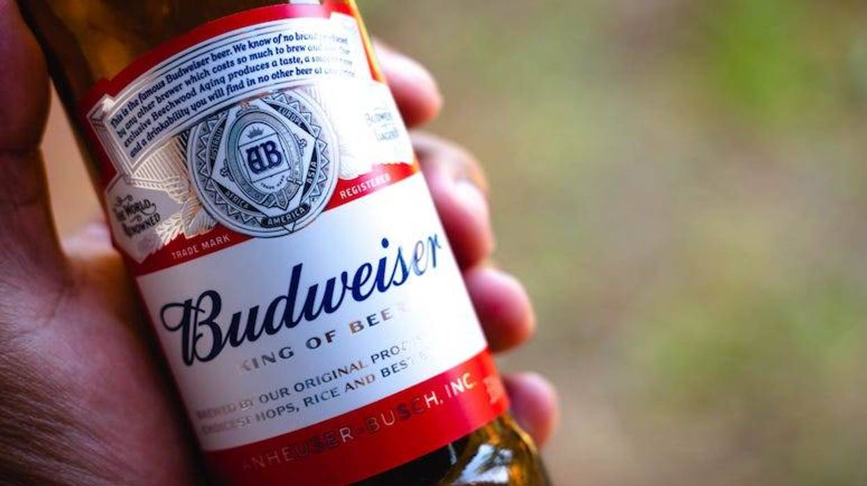 Bottle of Budweiser