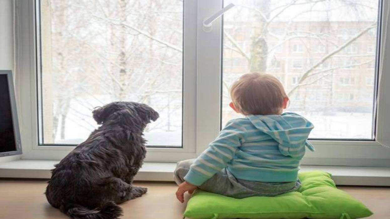 Boy_and_Dog